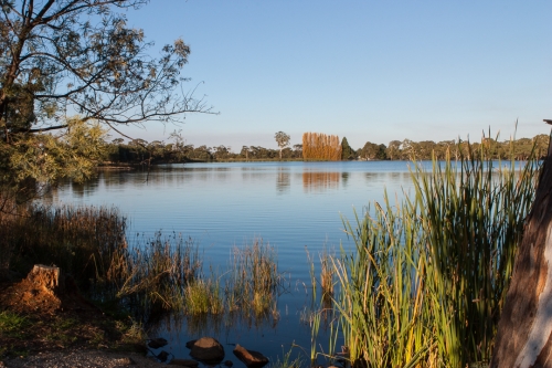 Gosling Creek Reserve